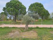 Vente Maison 9 pièces 303 m2 Arles
