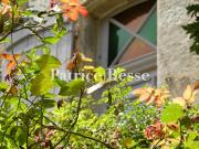 Vente Maison 9 pièces 320 m2 Lectoure