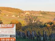 Vente Maison 9 pièces 370 m2 Jambles