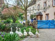 Vente Maison 9 pièces 385 m2 Tours