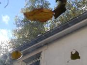 Vente Maison de ville 3 pièces 58 m2 Nancy