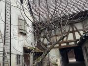 Vente Maison de ville 4 pièces 84.92 m2 Turckheim