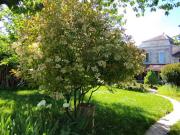 Vente Maison de ville 5 pièces 131 m2 Dampierre sur Boutonne
