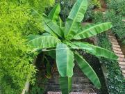 Vente Maison de ville 8 pièces 136 m2 Bordeaux