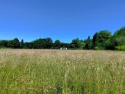 Vente maison Peyrehorade