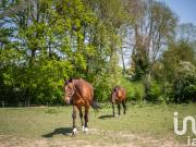 Vente Domaine 5 pièces