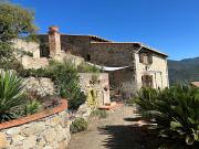 Vente Mas 11 pièces 295 m2 Montbolo
