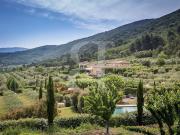 Vente Mas 12 pièces 426 m2 Ménerbes