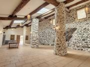 Vente Mas 14 pièces 584 m2 Montbolo