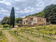 Vente Mas 11 pièces 302 m2 Tresques