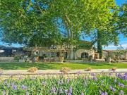Vente Mas 8 pièces 300 m2 Cavaillon
