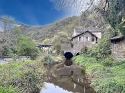 Vente Moulin 7 pièces 335 m2 Tanus