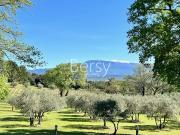 Vente Propriété 10 pièces 250 m2 Bédoin