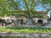 Vente Propriété 10 pièces 360 m2 Les vigneres