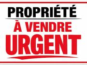 Vente Propriété 11 pièces 274 m2 Vendome