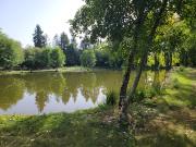 Vente Propriété 11 pièces 298 m2 Lussac les Châteaux