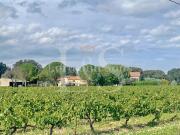 Vente Propriété 12 pièces 231 m2 Richerenches