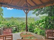 Vente Propriété 12 pièces 291 m2 Petit bourg