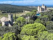 Vente Propriété 12 pièces 385 m2 Saint Etienne des Sorts