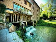 Vente Propriété 13 pièces 455 m2 Longeville sur la Laines