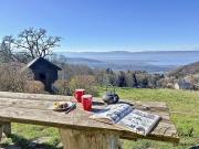 Vente Propriété 14 pièces 350 m2 Thonon les Bains