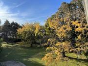 Vente Propriété 16 pièces 600 m2 Louveciennes