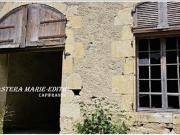 Vente Propriété 19 pièces 860 m2 Auch