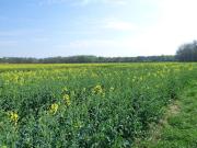 Vente Propriété 1 pièce 180 m2 Neuvy sur Barangeon