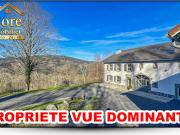 Vente Propriété 20 pièces 395 m2 Gerardmer