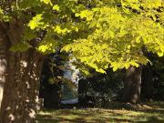 Vente Propriété 20 pièces 480 m2 Puyricard