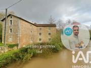 Vente Propriété 20 pièces 558 m2 Charroux