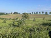 Vente Propriété 22 pièces 885 m2 Agen