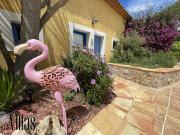 Vente Propriété 32 pièces 1190 m2 Leucate