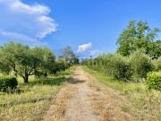 Vente Propriété 4 pièces 80 m2 Moussac