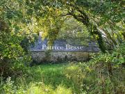 Vente Propriété 620 m2 Quimper