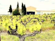 Vente Propriété 6 pièces 170 m2 Uzès