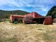 Vente Propriété 6 pièces 178.28 m2 Estagel