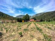 Vente Propriété 6 pièces 178.28 m2 Tautavel