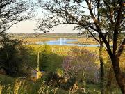 Vente Propriété 6 pièces 206.84 m2 Béganne