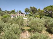 Vente Propriété 6 pièces 230 m2 Mougins