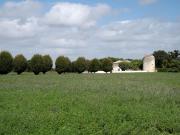 Vente Propriété 8 pièces 168 m2 Saint Agnant