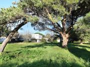 Vente Propriété 8 pièces 186 m2 Les Portes en Ré Vente Propriété 8 pièces 186 m2 Les Portes en Ré