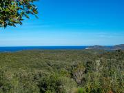 Vente Propriété 8 pièces 285 m2 Bonifacio