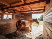 Vente Propriété 8 pièces 352 m2 Chatillon sur chalaronne