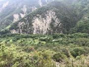 Vente Propriété 93 m2 Plan du var