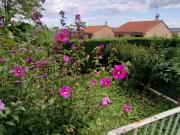 Vente Souplex 3 pièces