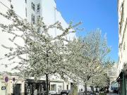 Vente Studio 1 pièce 17.11 m2 Paris 6ème