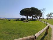 Vente Studio 1 pièce 21.66 m2 La Londe les Maures