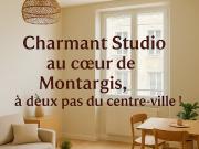 Vente Studio 1 pièce 21 m2 Montargis