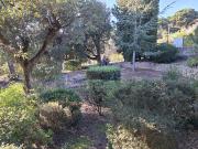 vente terrain 0 m²